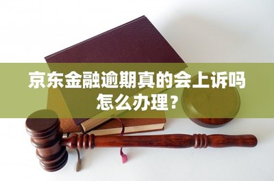 京东金融逾期应对指南 是否会被起诉与正确处理流程